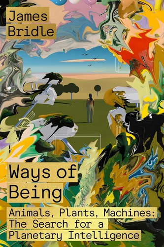 Cover of Ways of Being: Beyond Human Intelligence by James Bridle