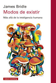 Portada de Modos de existir: más allá de la inteligencia humana, de James Bridle. Traducido del inglés por Teresa Bailach.